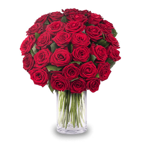 florero premium con 36 rosas