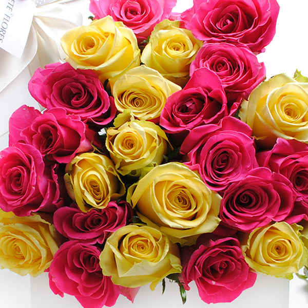Caja de 24 Rosas Fucsia y Amarillo