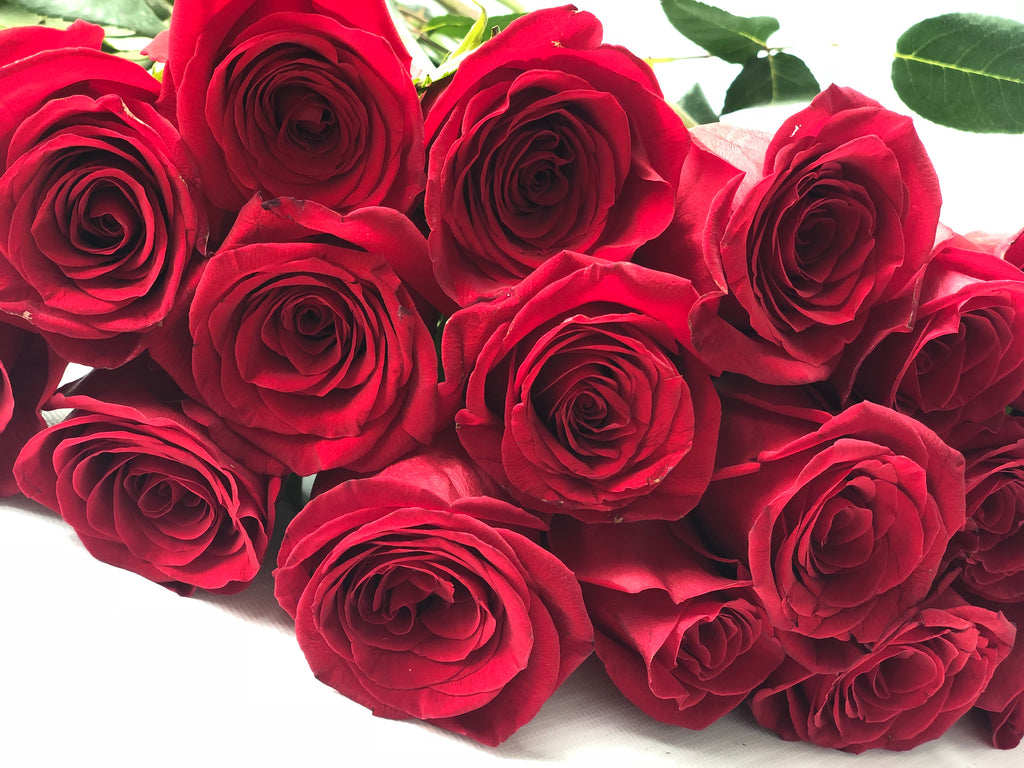 10 Rosas Rojas en Ramo + Espumante